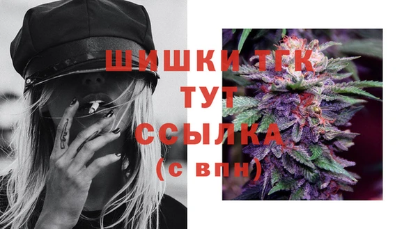шишки Балахна