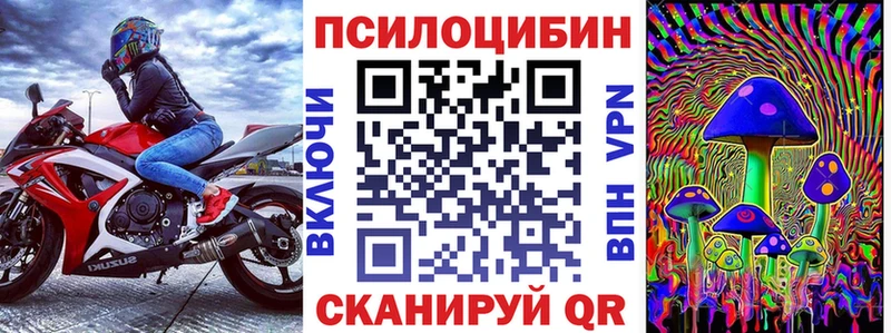 Купить  Тайшет  Псилоцибиновые грибы мицелий 
